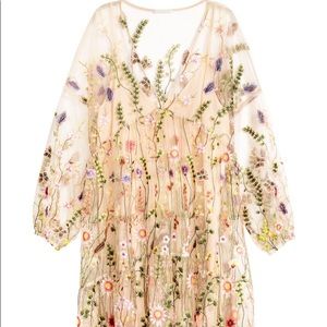 H&M embroidered dress!